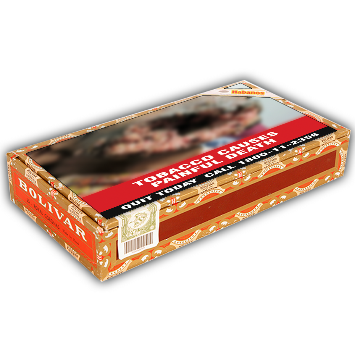 Bolivar Royal Coronas P/c- 25