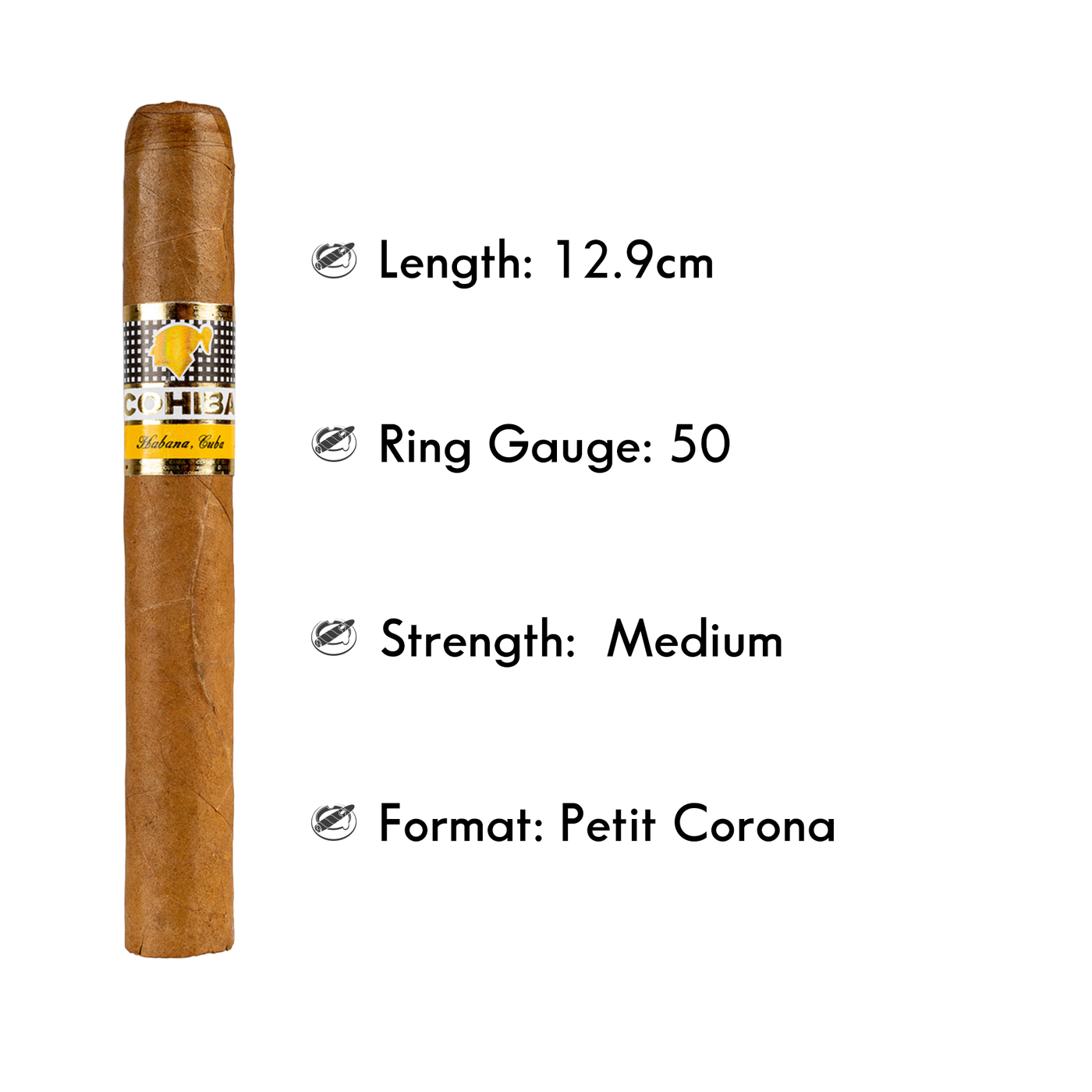 Cohiba Siglo II P/c- 5 - The Slow Draw