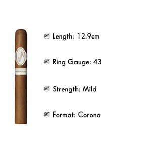 DAVIDOFF SIGNATURE 2000 (4/PACK) - The Slow Draw