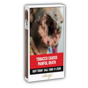 DAVIDOFF WINSTON CHURCHILL (4:PACK) - The Slow Draw